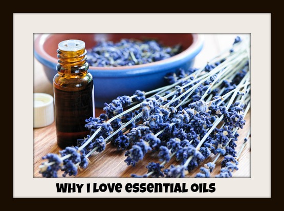 Dried lavender herb and essential aromatherapy oil