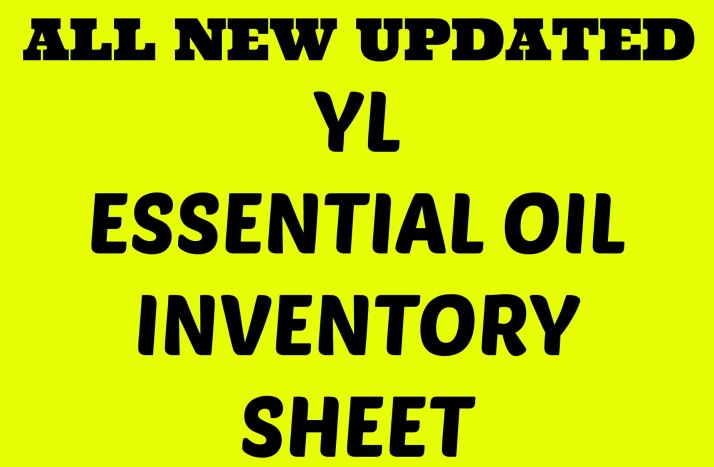 YLEO INVENTORY SHEET